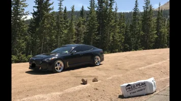 Stinger no plate side dirt.webp