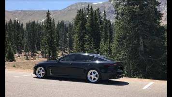Stinger no plate side 1.webp