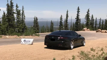 Stinger no plate rear.webp