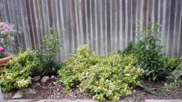 DSCF2123.webp