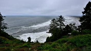 Cape Disappointment - North Head_2023_06_03_067.webp