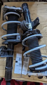 old strut.jpg