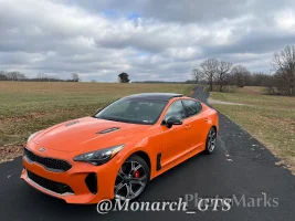 Stinger 7.jpg Stinger 7.jpg