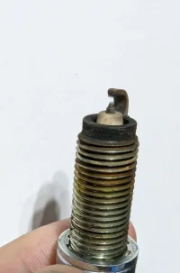 1000002575.jpg