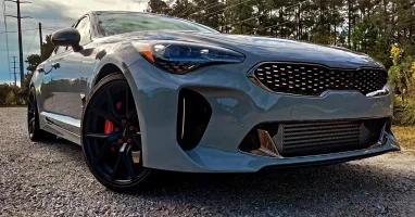 Kia stinger GT lower Grill 1.webp