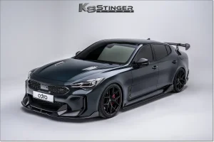 ADRO_CF_Front_Lip_FE_10.png ADRO_CF_Front_Lip_FE_10.png