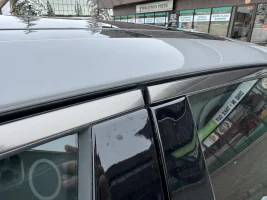 left rear door window trim.jpg