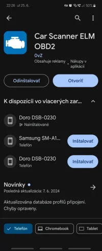 Screenshot_20240625_222611_Google Play Store.webp