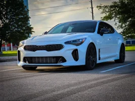 stinger_front.webp