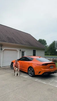 IMG_20240827_121655_01.webp