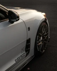 WestFeildMeet-17.webp