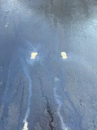 Stinger-Leak.webp
