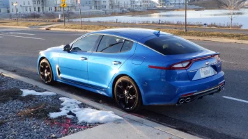 blue on black3.webp