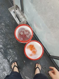 20180624_182114.webp
