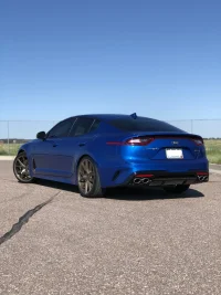rear profile.webp