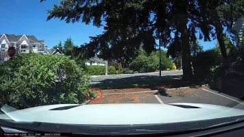 treekillbush.webp treekillbush.webp