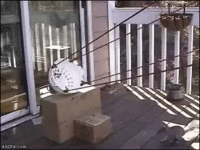8D2D0215-9DDB-428D-ABC4-A34B3CDB461E.gif