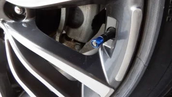 DSCF3959.webp