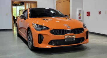 Stinger Ceramic .webp