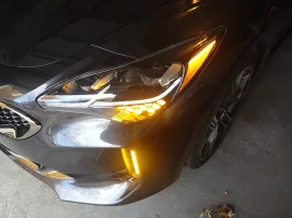 IMG_20221025_164309315.webp IMG_20221025_164309315.webp