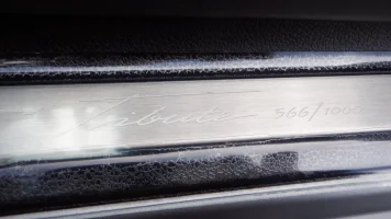 stinger tribute 566.webp stinger tribute 566.webp