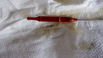 DSCF4630.webp DSCF4630.webp