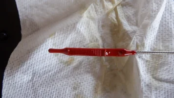 DSCF4631.webp DSCF4631.webp