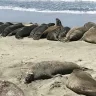 JeffAsfbay