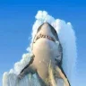 Sharkfin951