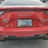 I Stung U