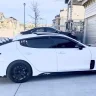 White_Stinger22