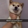Davidoyo