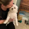 wjyndigo