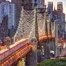 NJ_Stinger