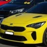 1_yellow_stinger