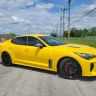 18YellowStinger