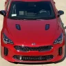 RedStinger