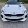 snow_white_stingergt
