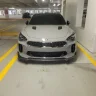 Stignergt1
