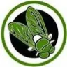 Greenfly1