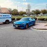 stingeroni