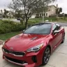Stinger Stung