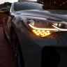 StingerDog18