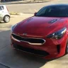 Stinger Texan