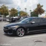 NOLA Stinger Z