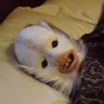 slashSort