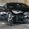 Marylandkiastingergt