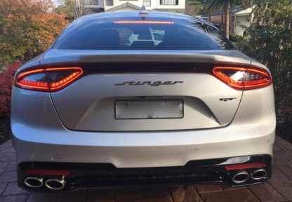 stinger emblem on silver
