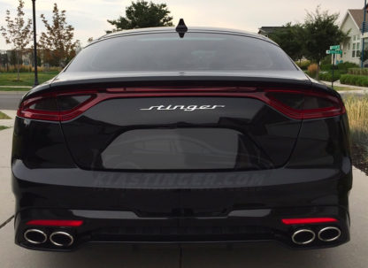 stinger rear on black stinger hatch