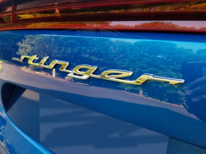 stinger text badge blue